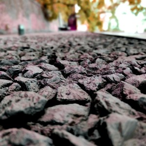 IMG_20250505_114228 (2)